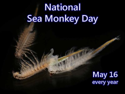 Celebrate National Sea Monkey Day May 16 | NonStop Celebrations