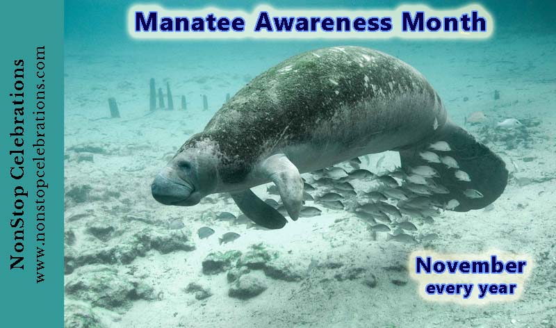 Celebrate Manatee Awareness Month In November | NonStop Celebrations