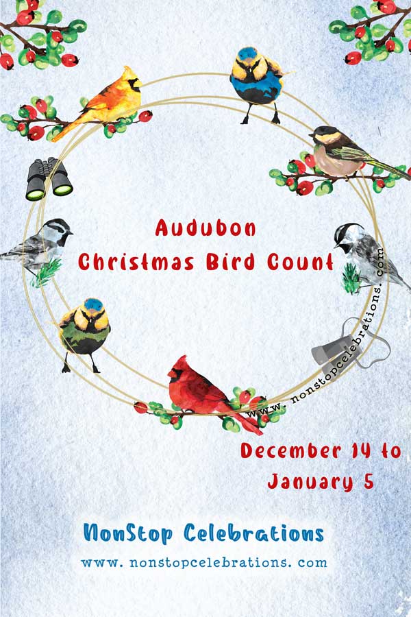 The Audubon Christmas Bird Count Starts Every December 14 NonStop