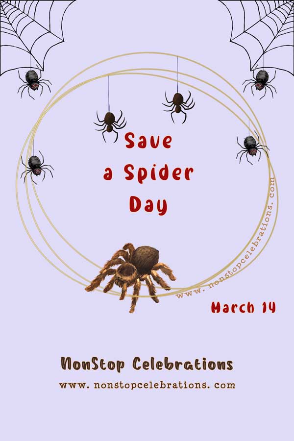 Celebrate Save a Spider Day Every March 14 NonStop Celebrations