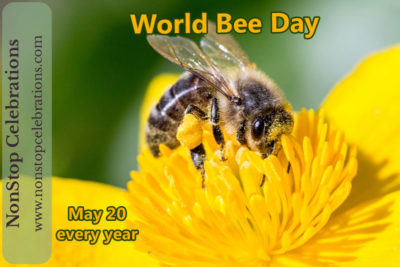 Celebrate World Bee Day Every May Nonstop Celebrations
